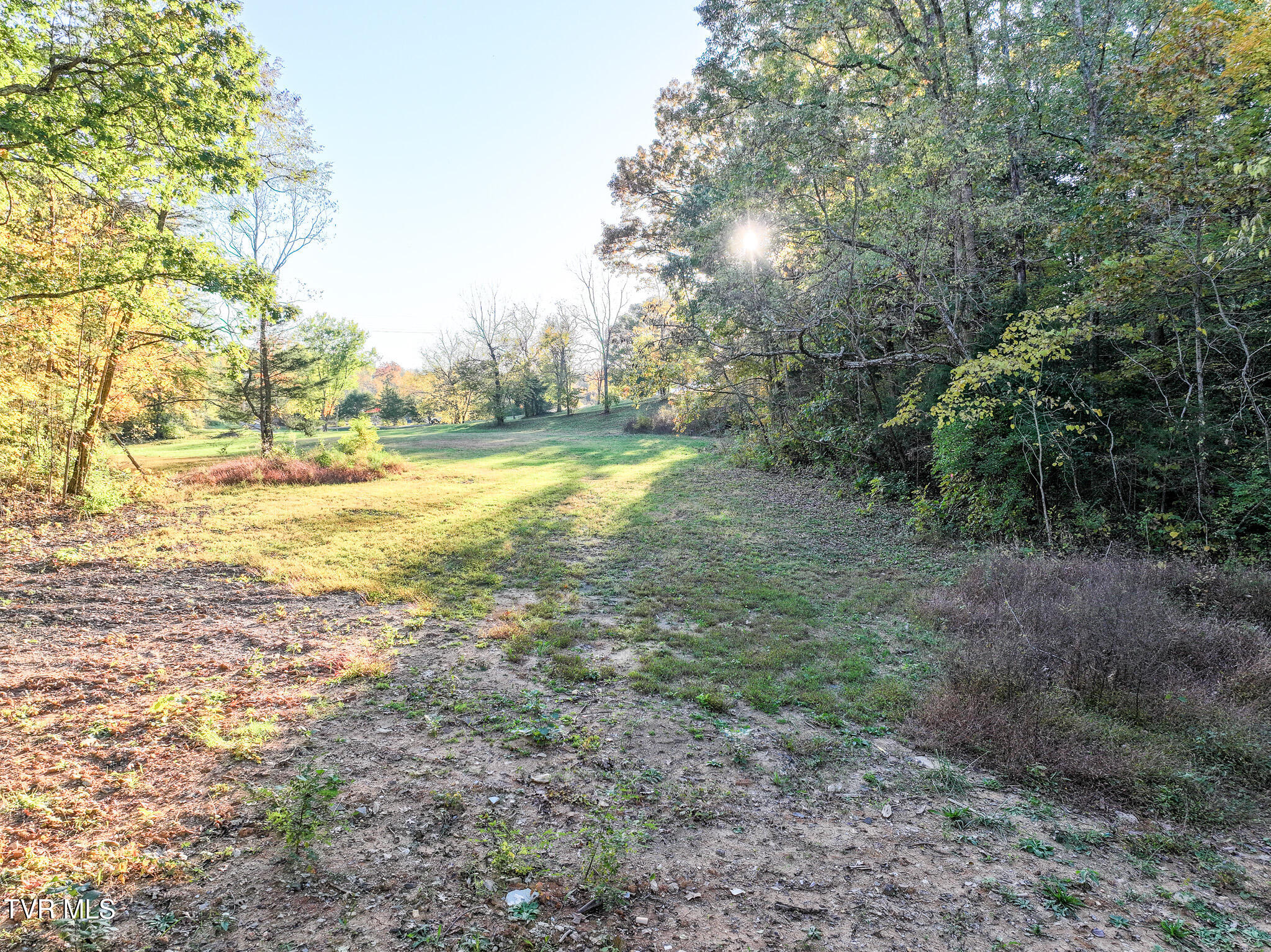 Peppermint Lane, Greeneville, Tennessee image 11