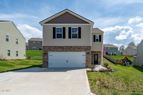Homes For Sale - 859 Barley Loop<br/> Jonesborough, TN 37659