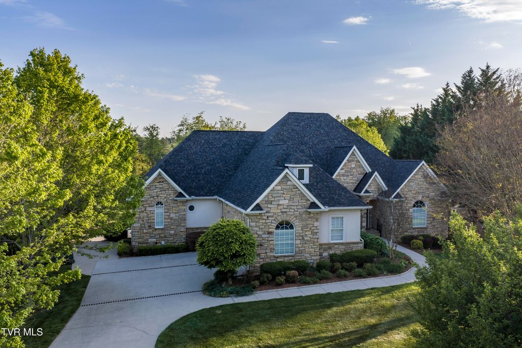 Photo of 105 Strawberry Field Drive, Johnson City, TN 37604 (MLS # 9994717)