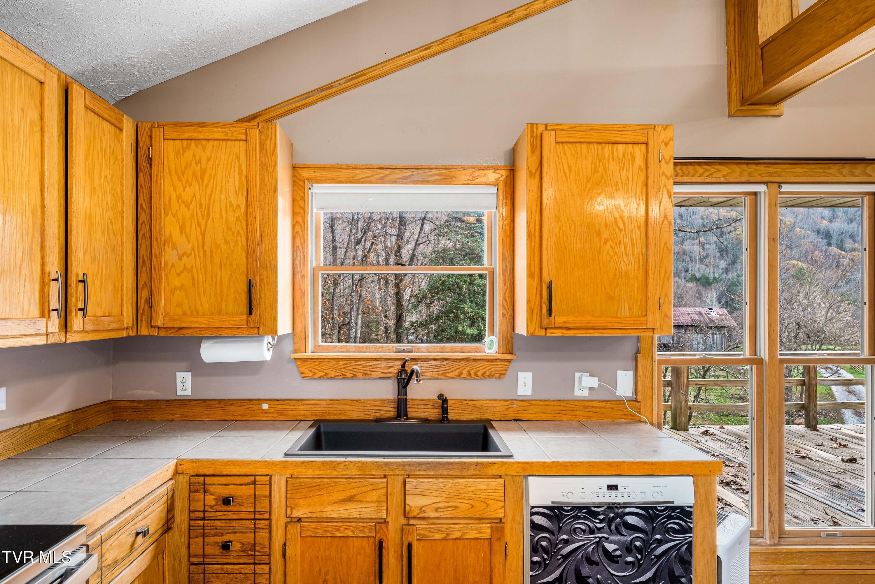 19507 Brumley Gap Road Road, Abingdon, Virginia image 43