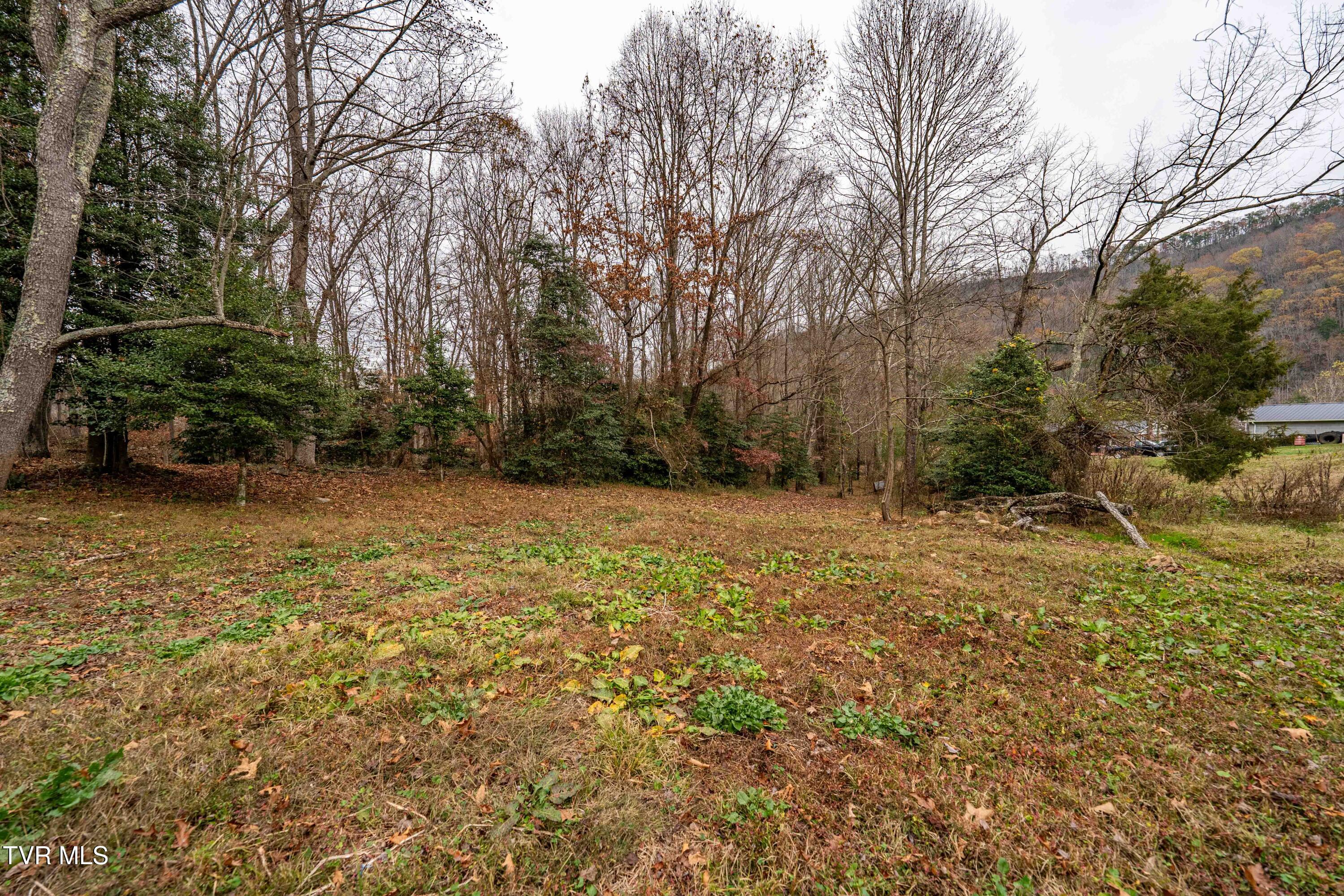 19507 Brumley Gap Road Road, Abingdon, Virginia image 16