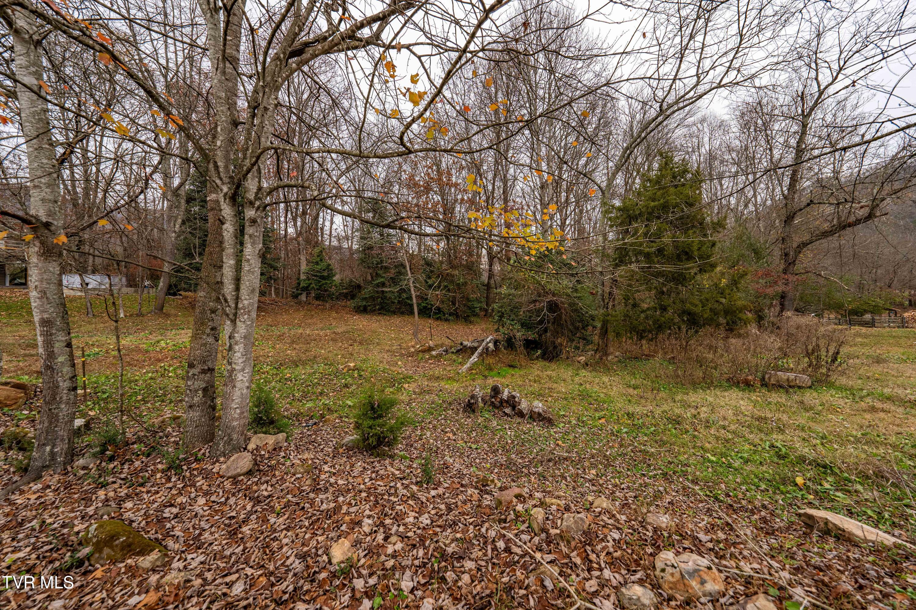 19507 Brumley Gap Road Road, Abingdon, Virginia image 13