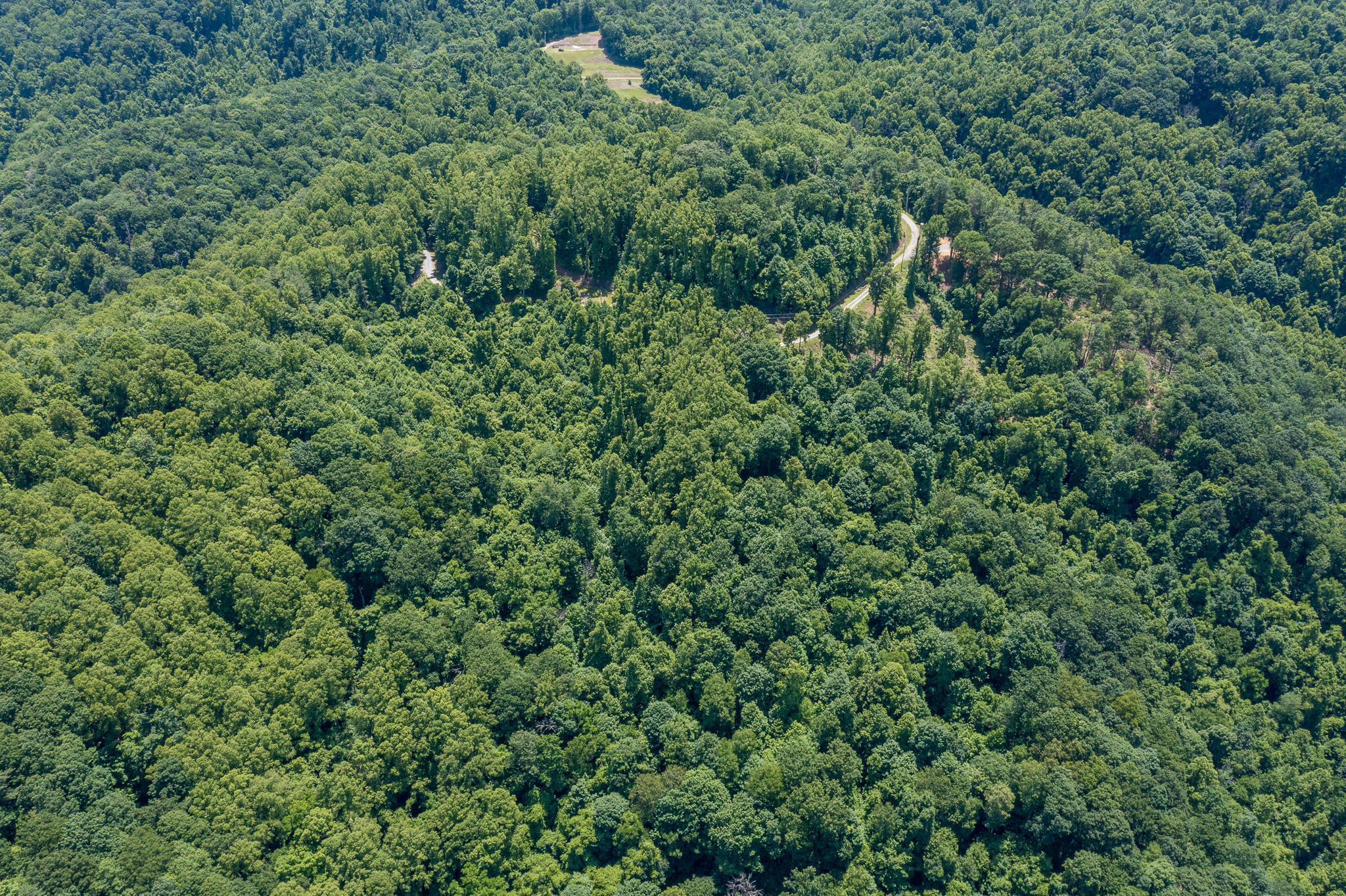 Lot 2 Ridgetop Lane, Unicoi, Tennessee image 24