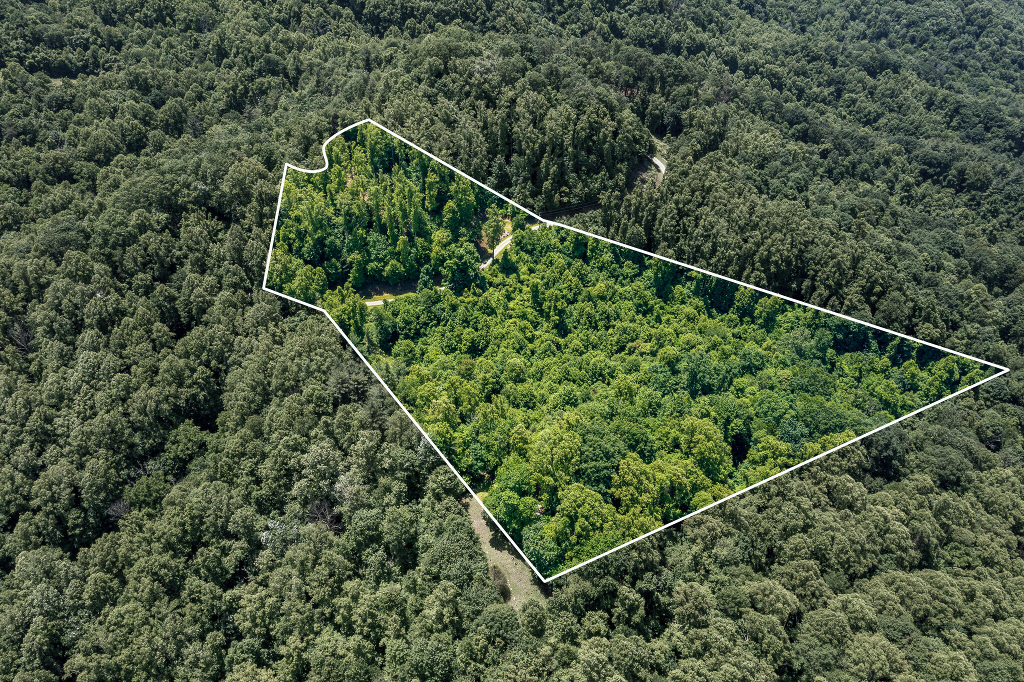 Lot 2 Ridgetop Lane, Unicoi, Tennessee image 4