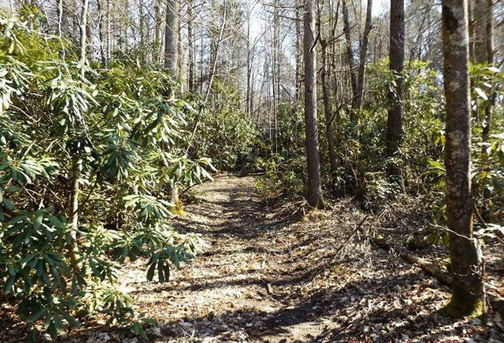 00 Tn-67, Butler, Tennessee image 2