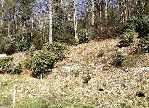 Vacant Land For Sale - 00 Tn-67<br/> Butler, TN 37640