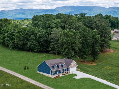 Photo of 495 Harlan Street, Greeneville, TN 37745 (MLS # 10000184)