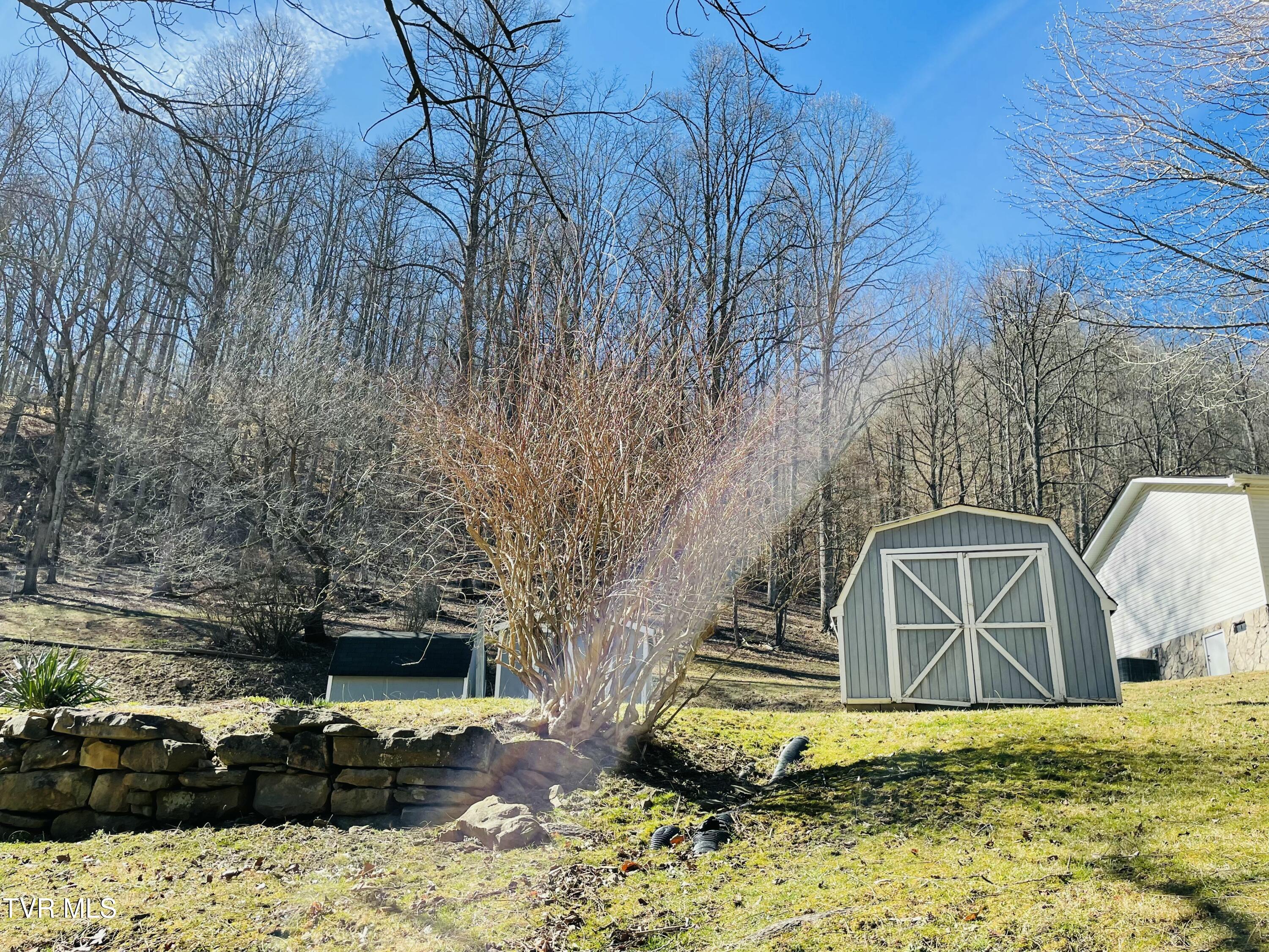 4119 Moneyhun Road, Appalachia, Virginia image 7
