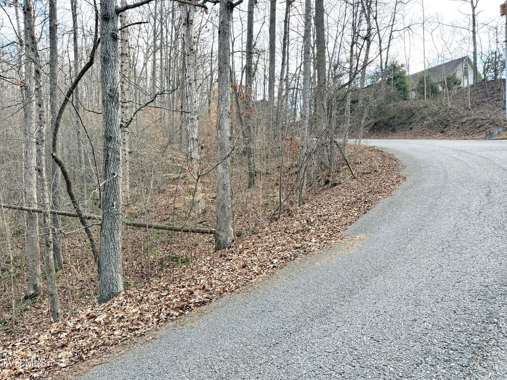 Photo of 67 Skyline Drive, Bristol, TN 37620 (MLS # 9990338)