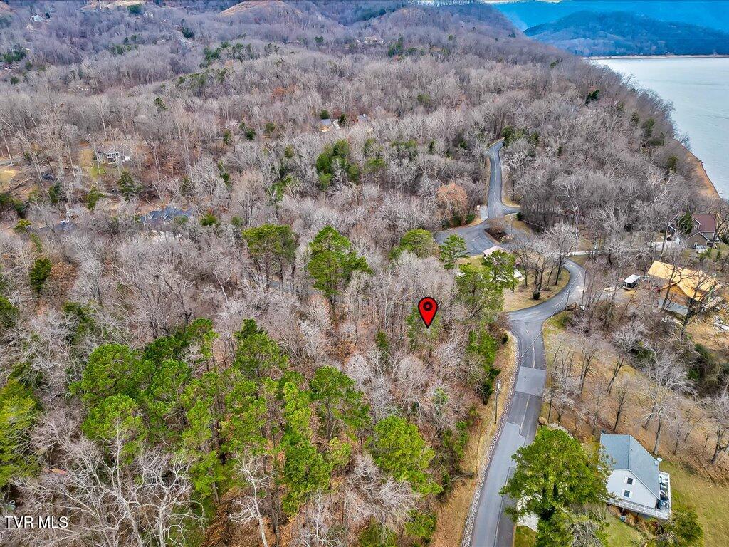 370 Chelaque Way, Mooresburg, Tennessee image 24
