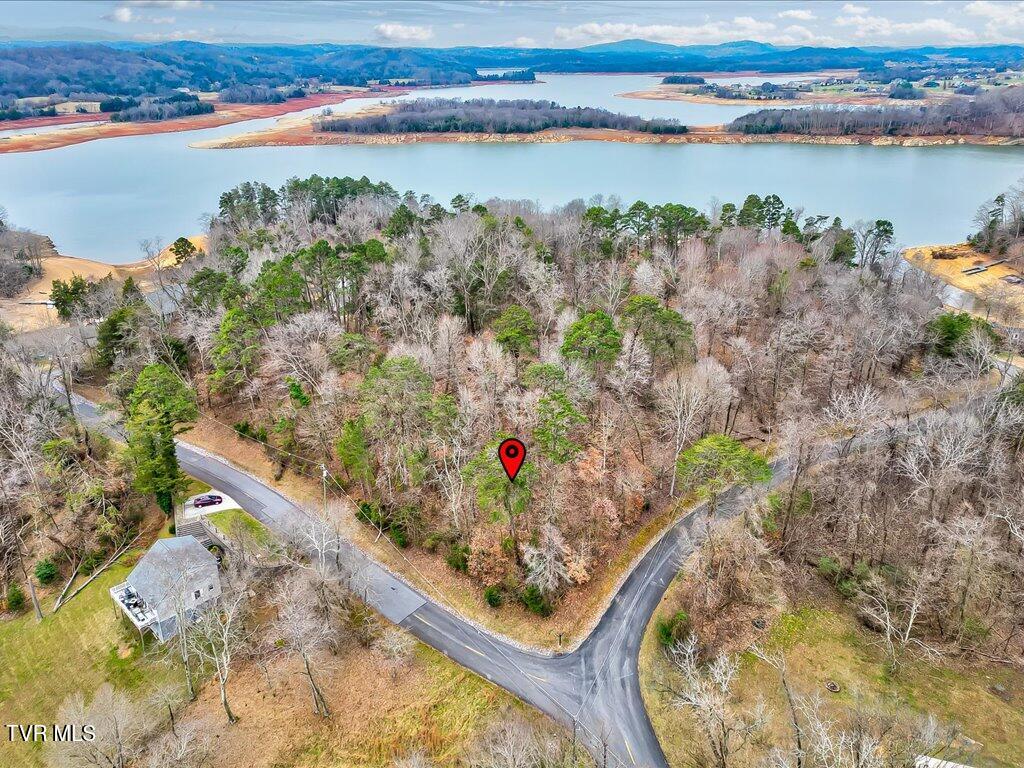 370 Chelaque Way, Mooresburg, Tennessee image 18