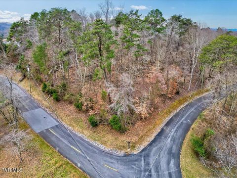 Vacant Land For Sale - 370 Chelaque Way<br/> Mooresburg, TN 37811