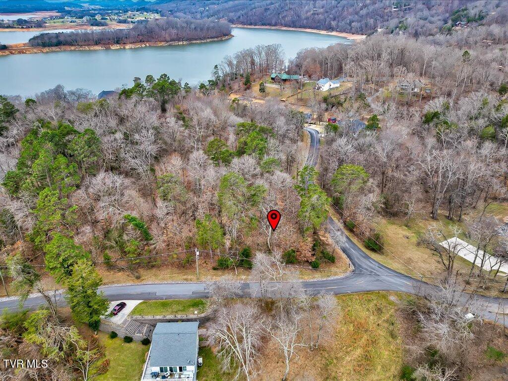 370 Chelaque Way, Mooresburg, Tennessee image 17