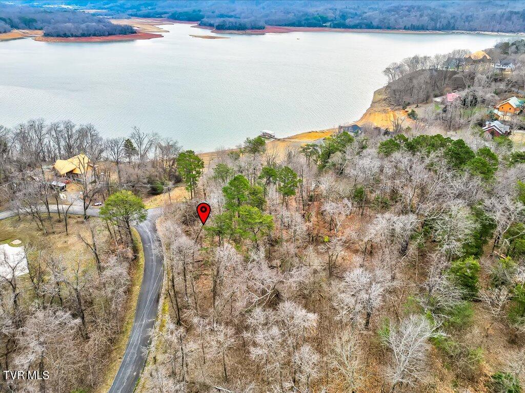 370 Chelaque Way, Mooresburg, Tennessee image 21