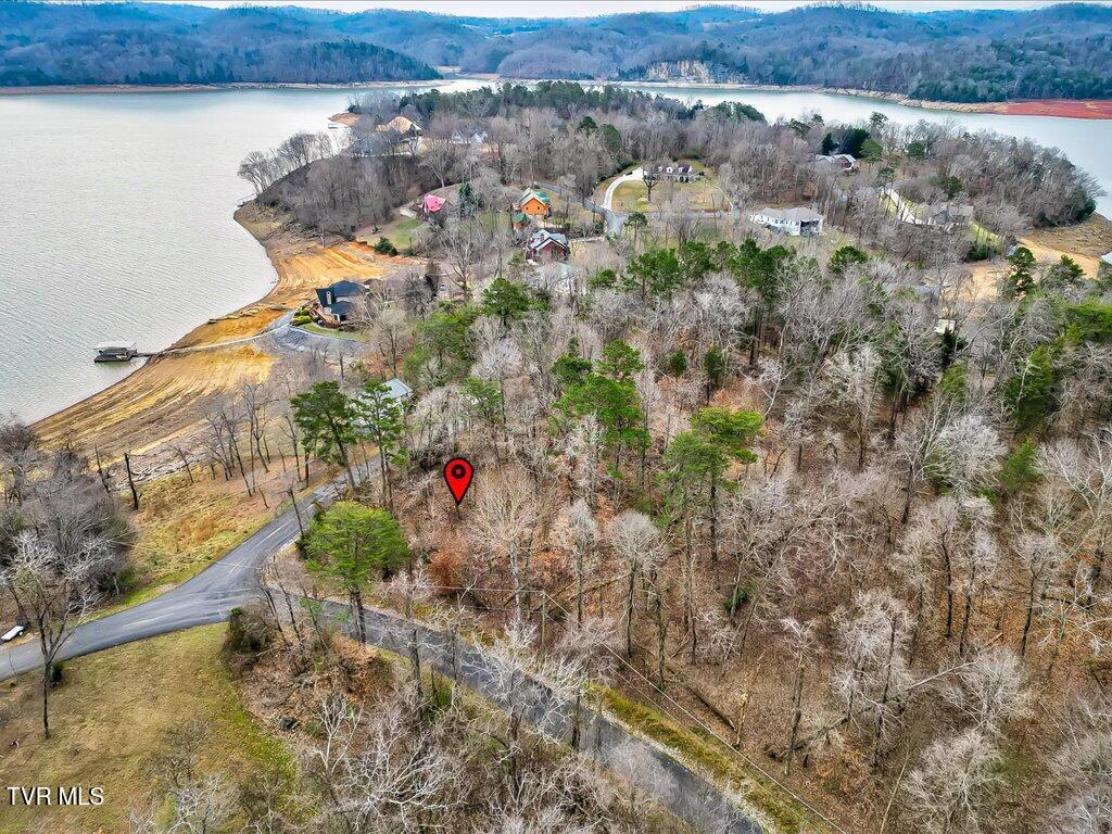 370 Chelaque Way, Mooresburg, Tennessee image 20