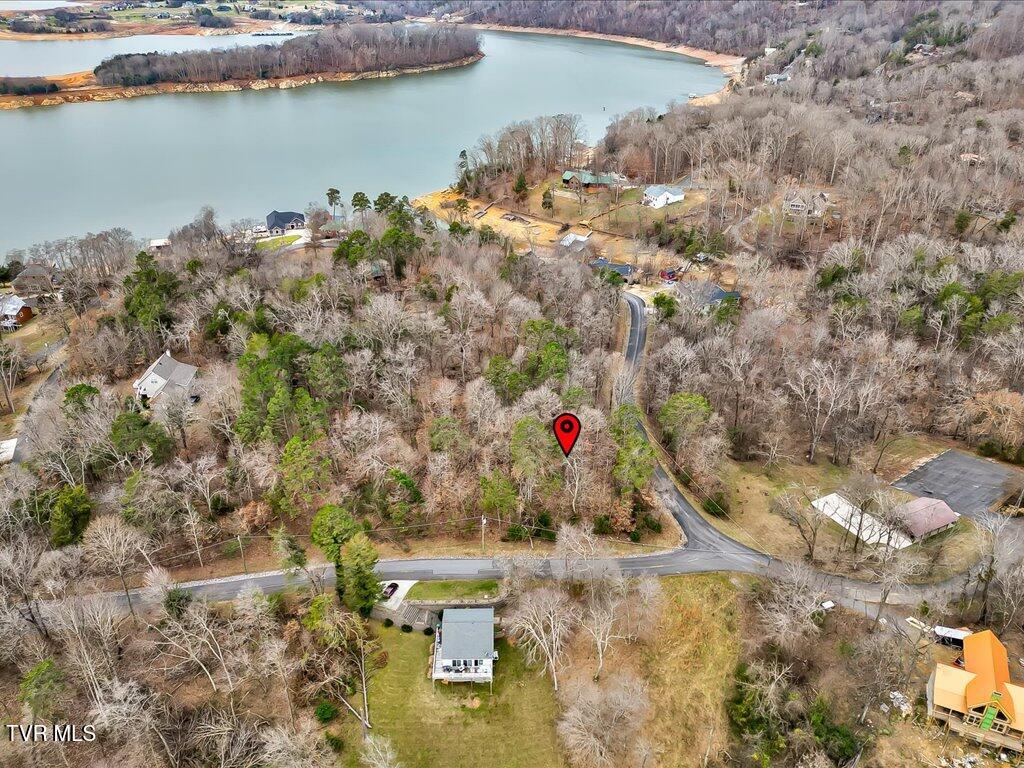 370 Chelaque Way, Mooresburg, Tennessee image 8