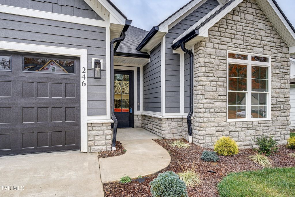 Photo of 246 Winston Place, Johnson City, TN 37615 (MLS # 9983377)