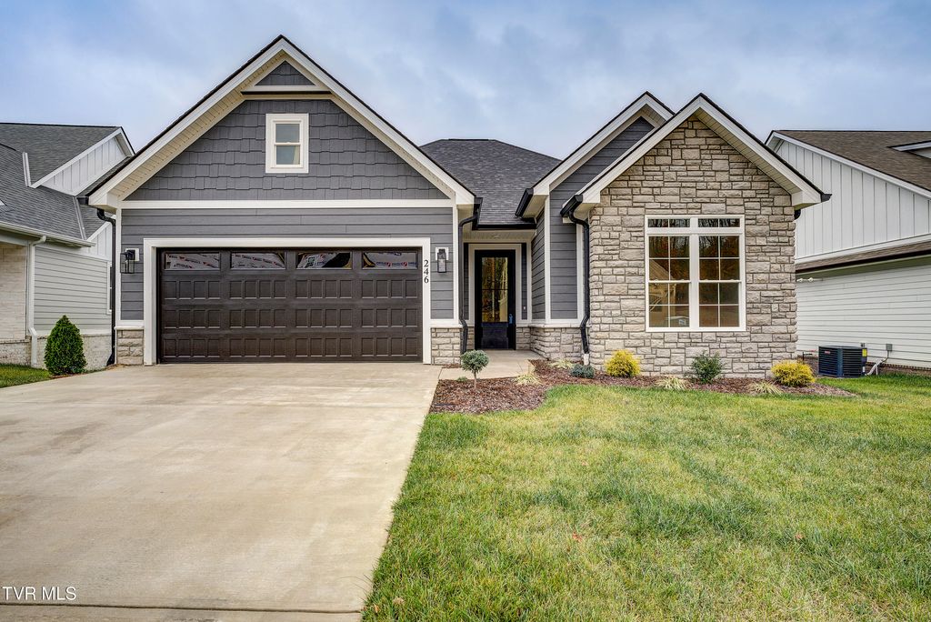 Photo of 246 Winston Place, Johnson City, TN 37615 (MLS # 9983377)
