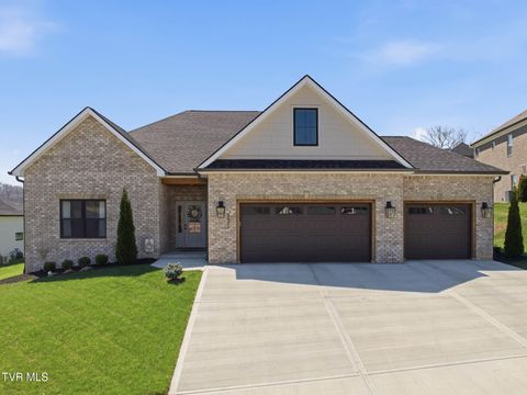 Photo of 335 Gransley Court, Johnson City, TN 37615 (MLS # 9992922)