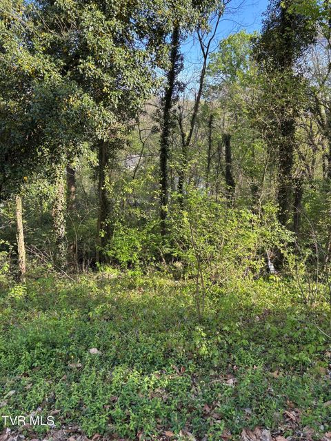 Vacant Land For Sale - LOT 15 Ashley Street<br/> Kingsport, TN 37664