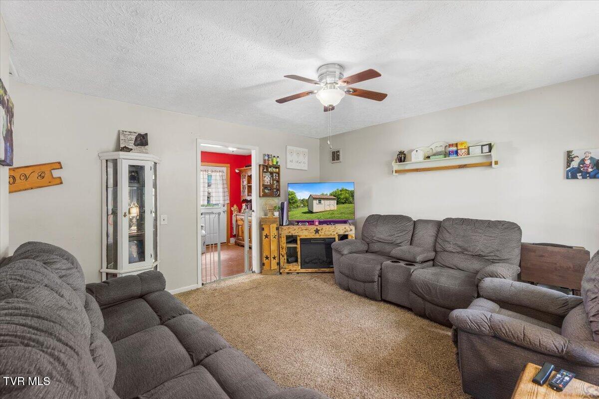 224 Dogwood Drive, Surgoinsville, Tennessee image 6