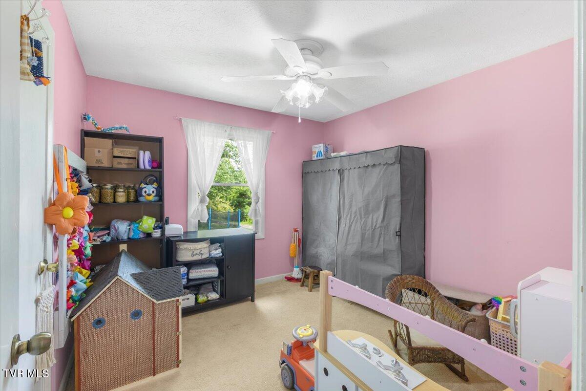 224 Dogwood Drive, Surgoinsville, Tennessee image 30