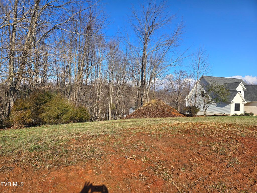 Photo of 1124 Biltmore Place, Piney Flats, TN 37686 (MLS # 9990006)