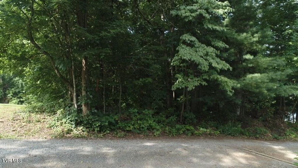 Photo of Tbd Webb Drive, Abingdon, VA 24211 (MLS # 9984805)
