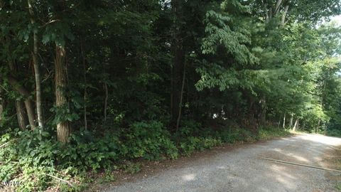 Vacant Land For Sale - TBD Webb Drive<br/> Abingdon, VA 24211