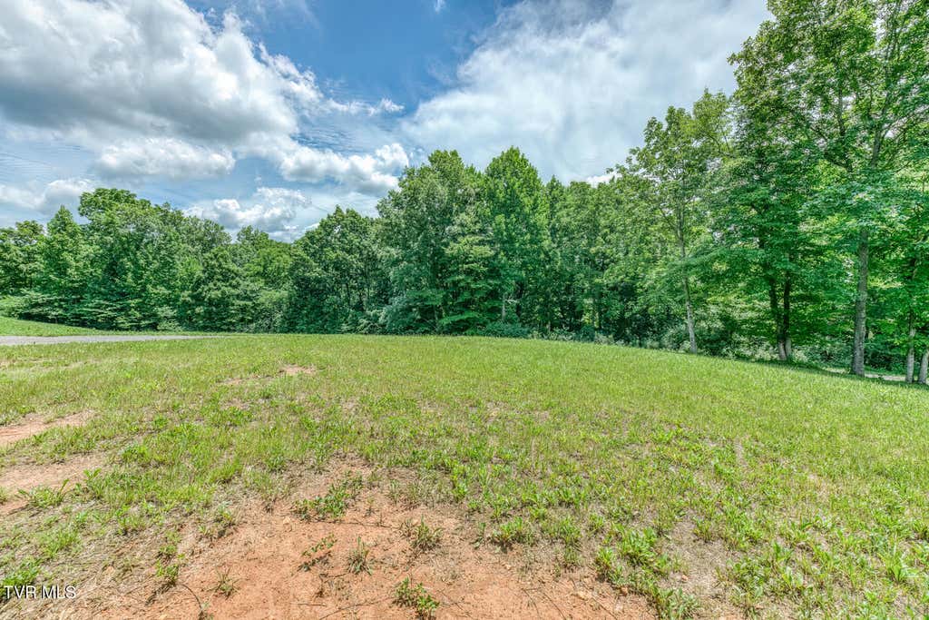 Photo of 50 Dry Hill Road, Butler, TN 37640 (MLS # 9997782)