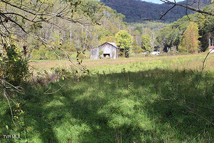 5852 Hubbard Springs Road, Jonesville, Virginia image 5