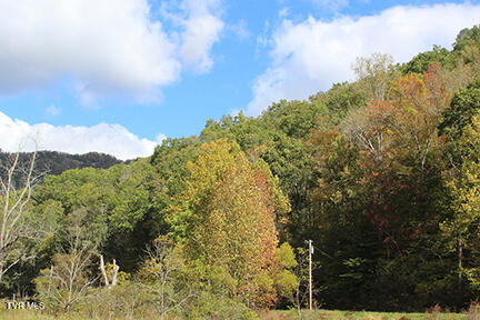 5852 Hubbard Springs Road, Jonesville, Virginia image 14
