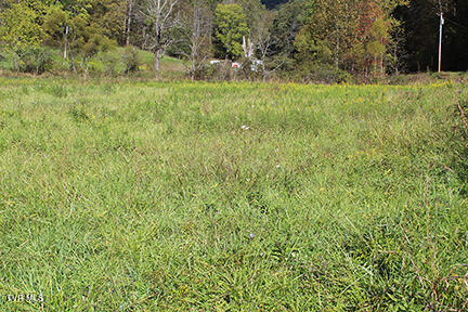 5852 Hubbard Springs Road, Jonesville, Virginia image 10