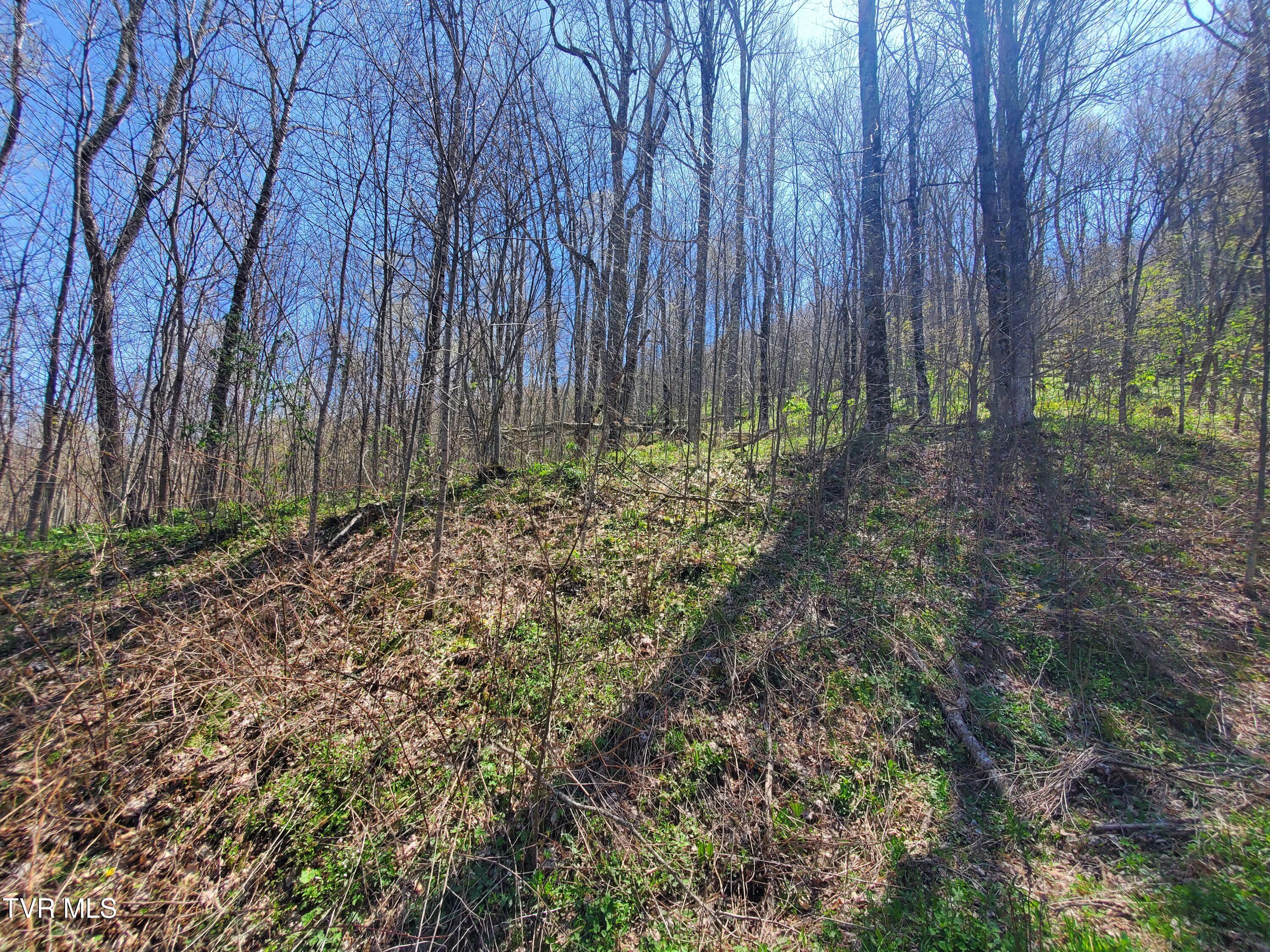 00 St Highway 143, Roan Mountain, Tennessee image 6