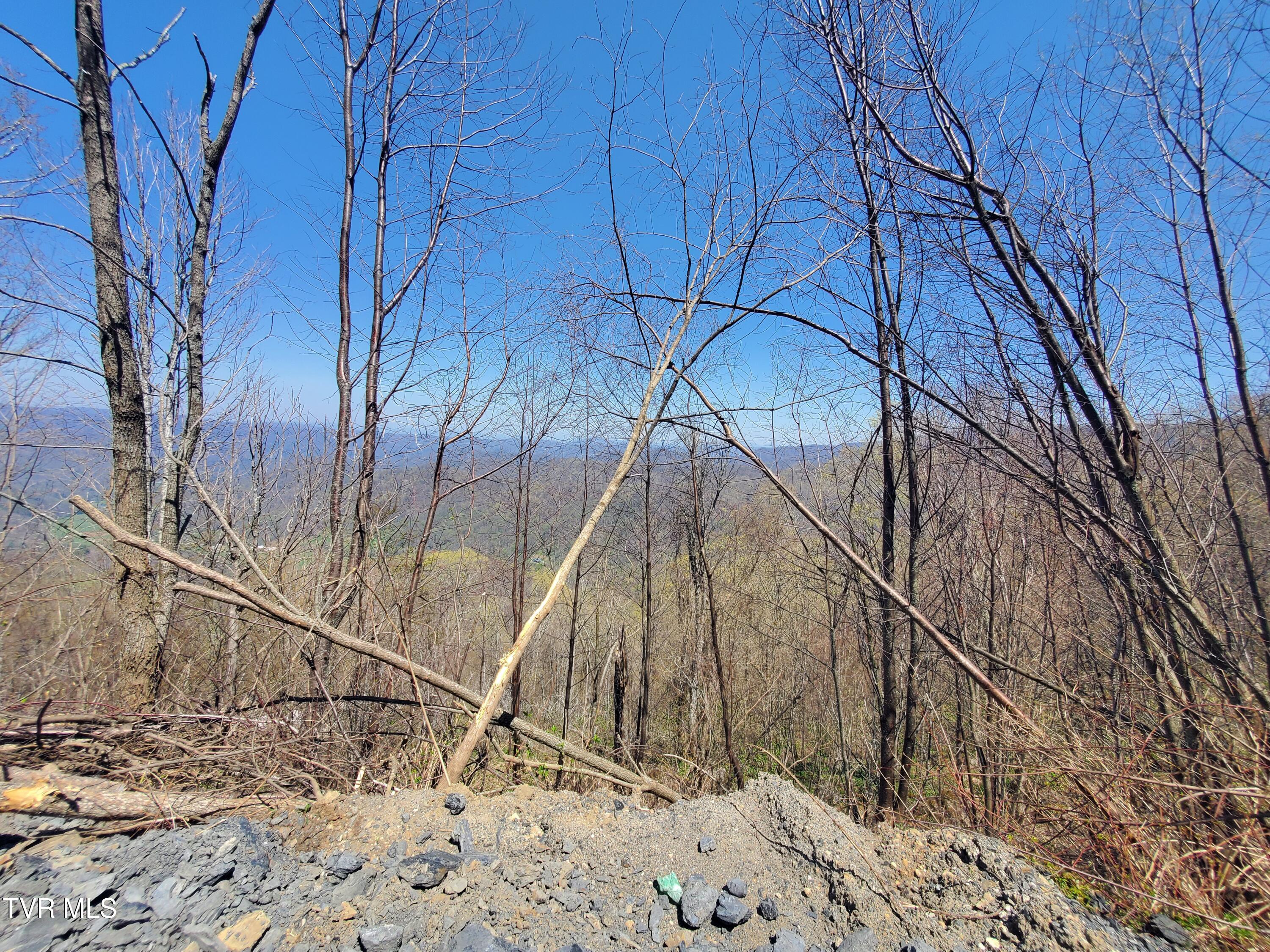 00 St Highway 143, Roan Mountain, Tennessee image 12