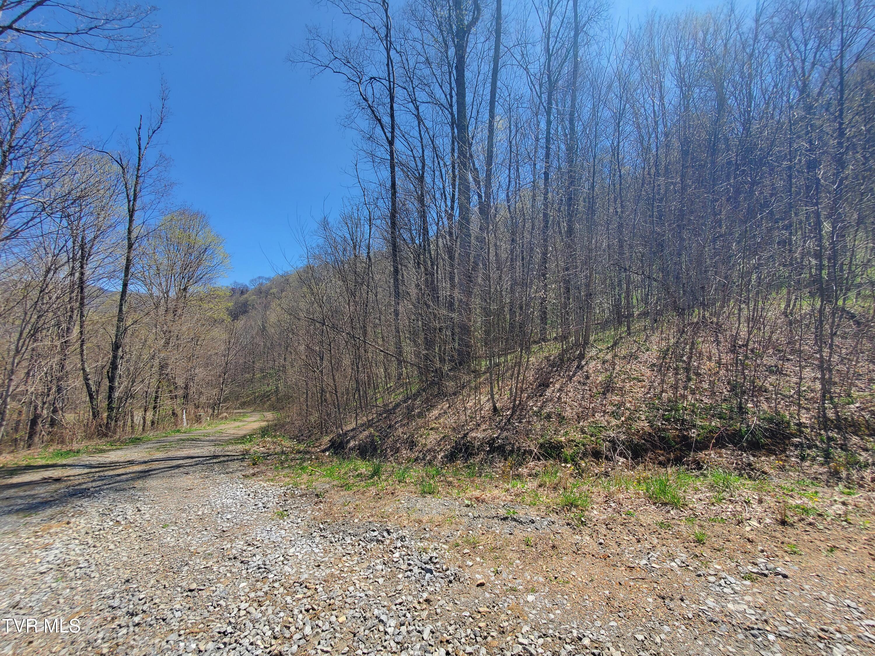 00 St Highway 143, Roan Mountain, Tennessee image 3