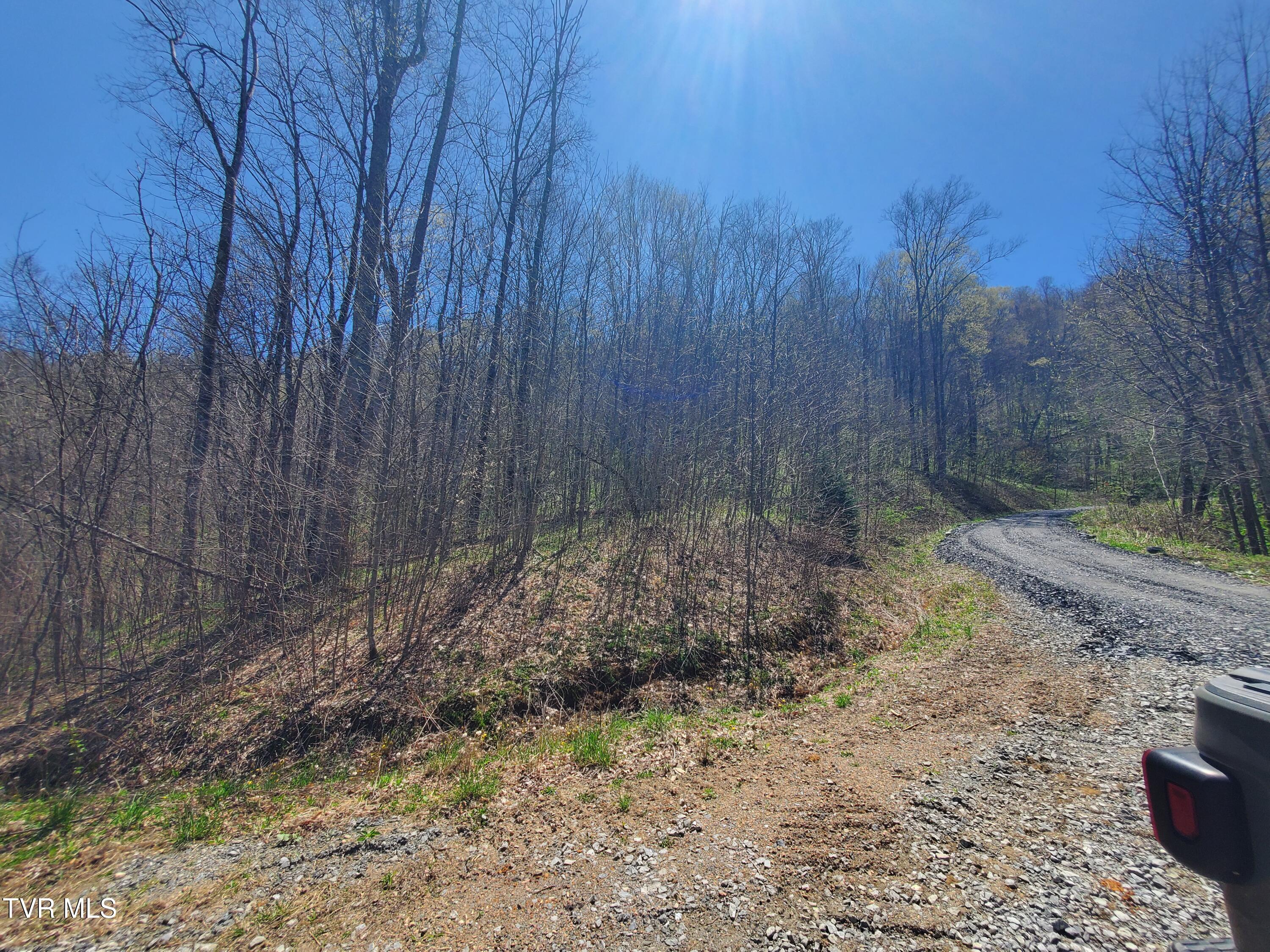 00 St Highway 143, Roan Mountain, Tennessee image 4