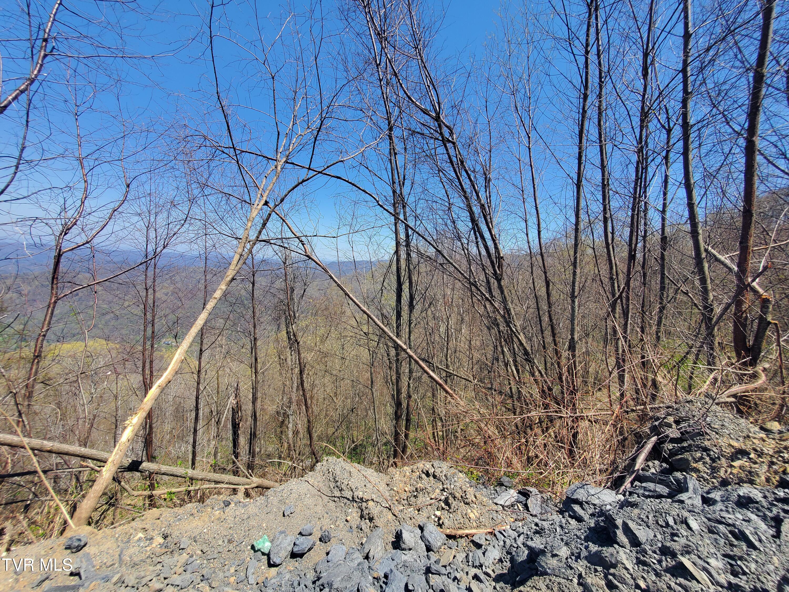 00 St Highway 143, Roan Mountain, Tennessee image 10