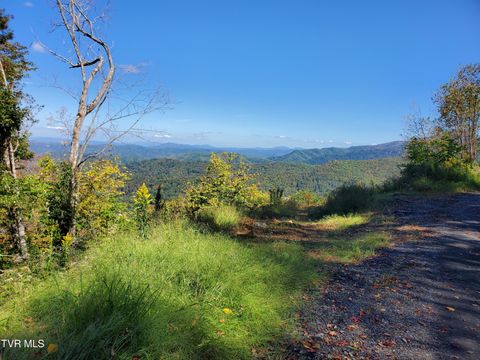 Vacant Land For Sale - 00 Cloudland Drive<br/> Roan Mountain, TN 37687