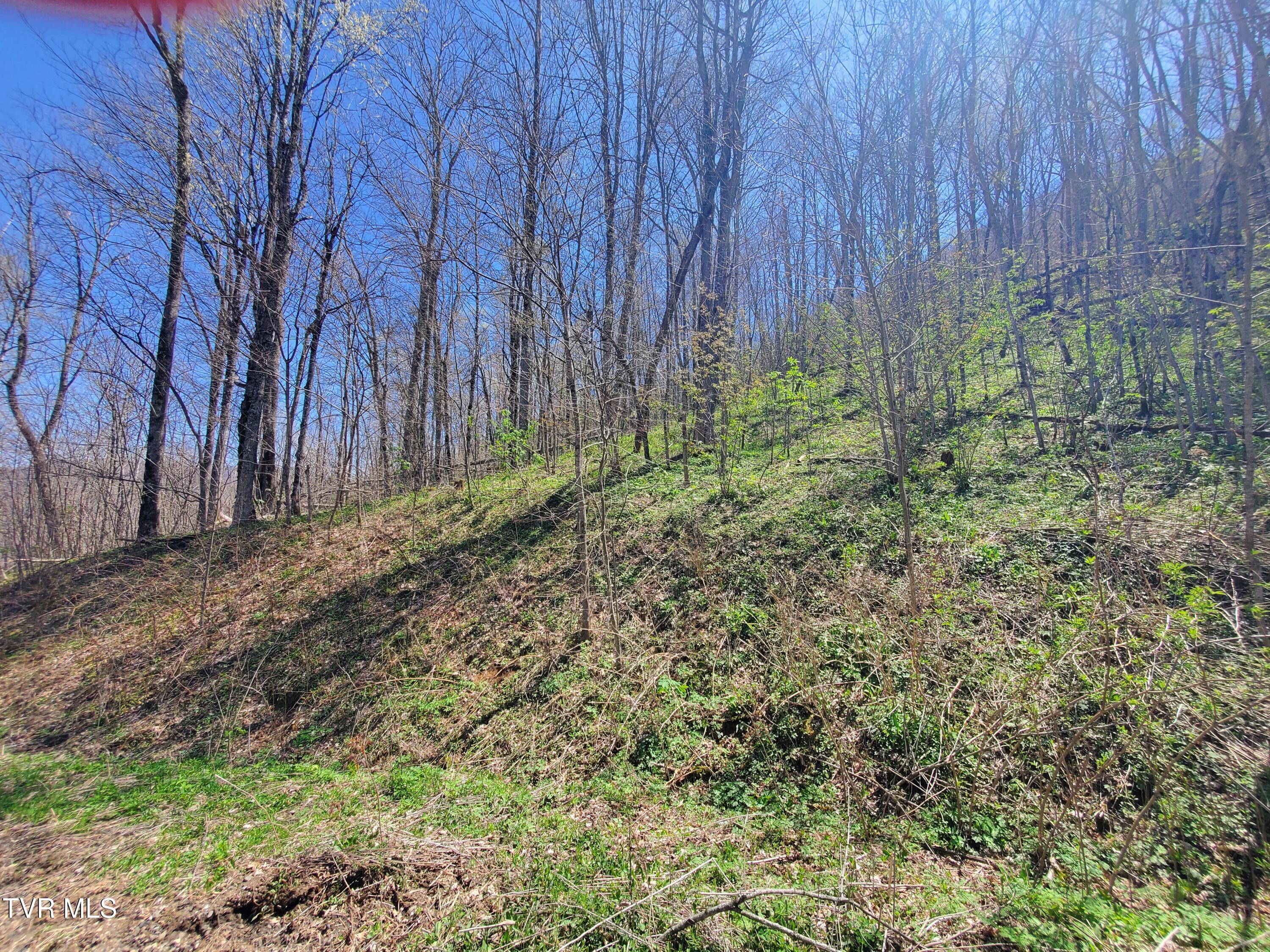 00 St Highway 143, Roan Mountain, Tennessee image 5