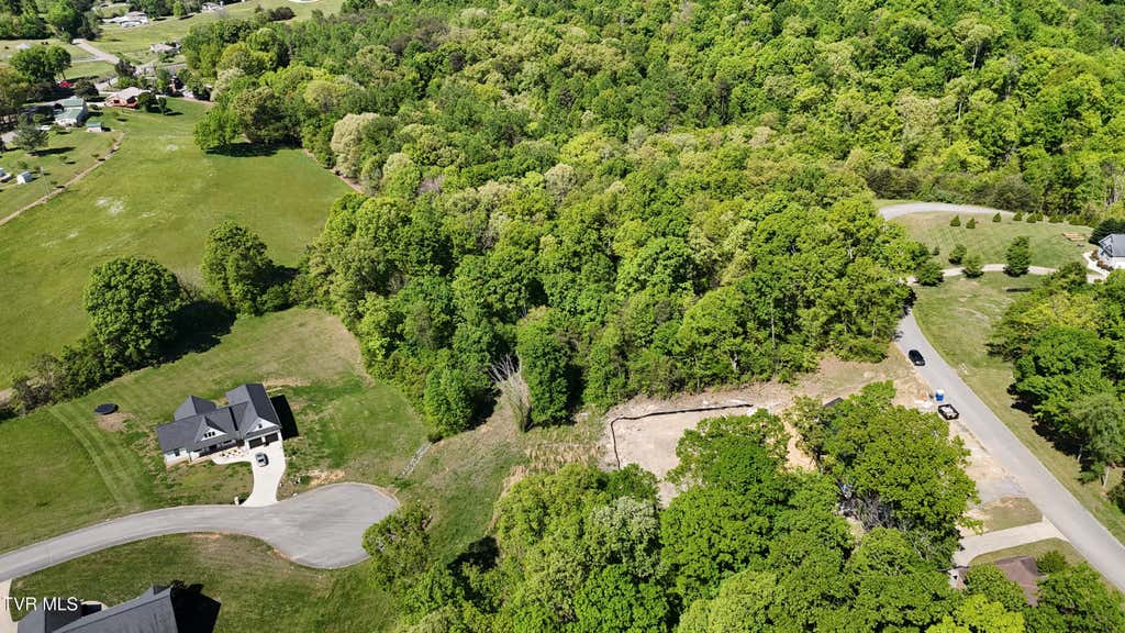 Photo of 6312 Turners Pond Trail, Russellville, TN 37860 (MLS # 9998596)