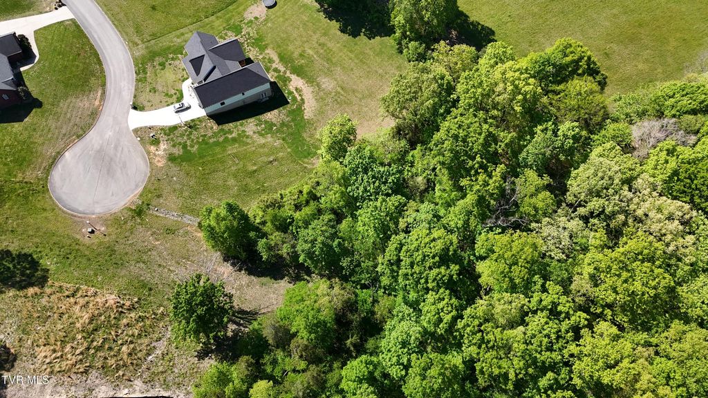 Photo of 6312 Turners Pond Trail, Russellville, TN 37860 (MLS # 9998596)