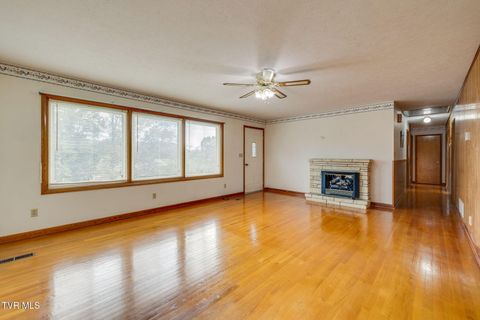 Tiny photo for 434 Meadow Lark Street, Weber City, VA 24290 (MLS # 9986440)