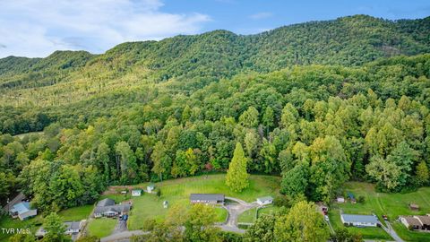 Tiny photo for 434 Meadow Lark Street, Weber City, VA 24290 (MLS # 9986440)