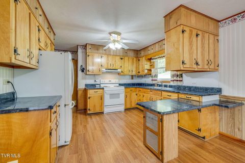 Tiny photo for 434 Meadow Lark Street, Weber City, VA 24290 (MLS # 9986440)