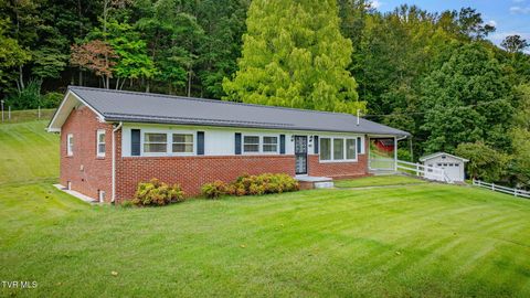Tiny photo for 434 Meadow Lark Street, Weber City, VA 24290 (MLS # 9986440)