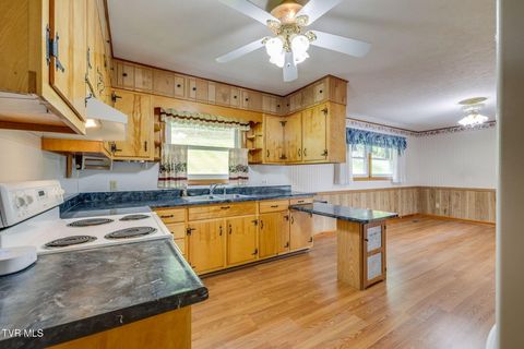 Tiny photo for 434 Meadow Lark Street, Weber City, VA 24290 (MLS # 9986440)