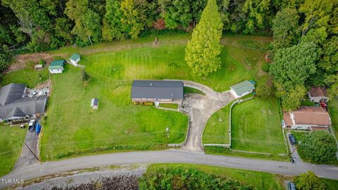 Tiny photo for 434 Meadow Lark Street, Weber City, VA 24290 (MLS # 9986440)