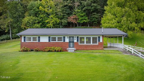 Photo of 434 Meadow Lark Street, Weber City, VA 24290 (MLS # 9986440)