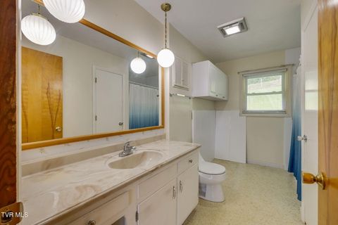 Tiny photo for 434 Meadow Lark Street, Weber City, VA 24290 (MLS # 9986440)